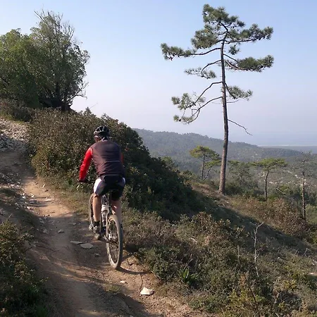 Sweet Atlantic & Hotel Figueira da Foz